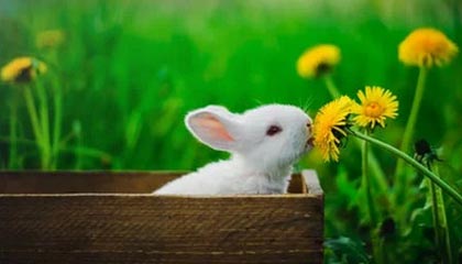 九游娱乐官网 (JIUYOU)-中国女足在比赛中展现出高超球技，中国女足足球