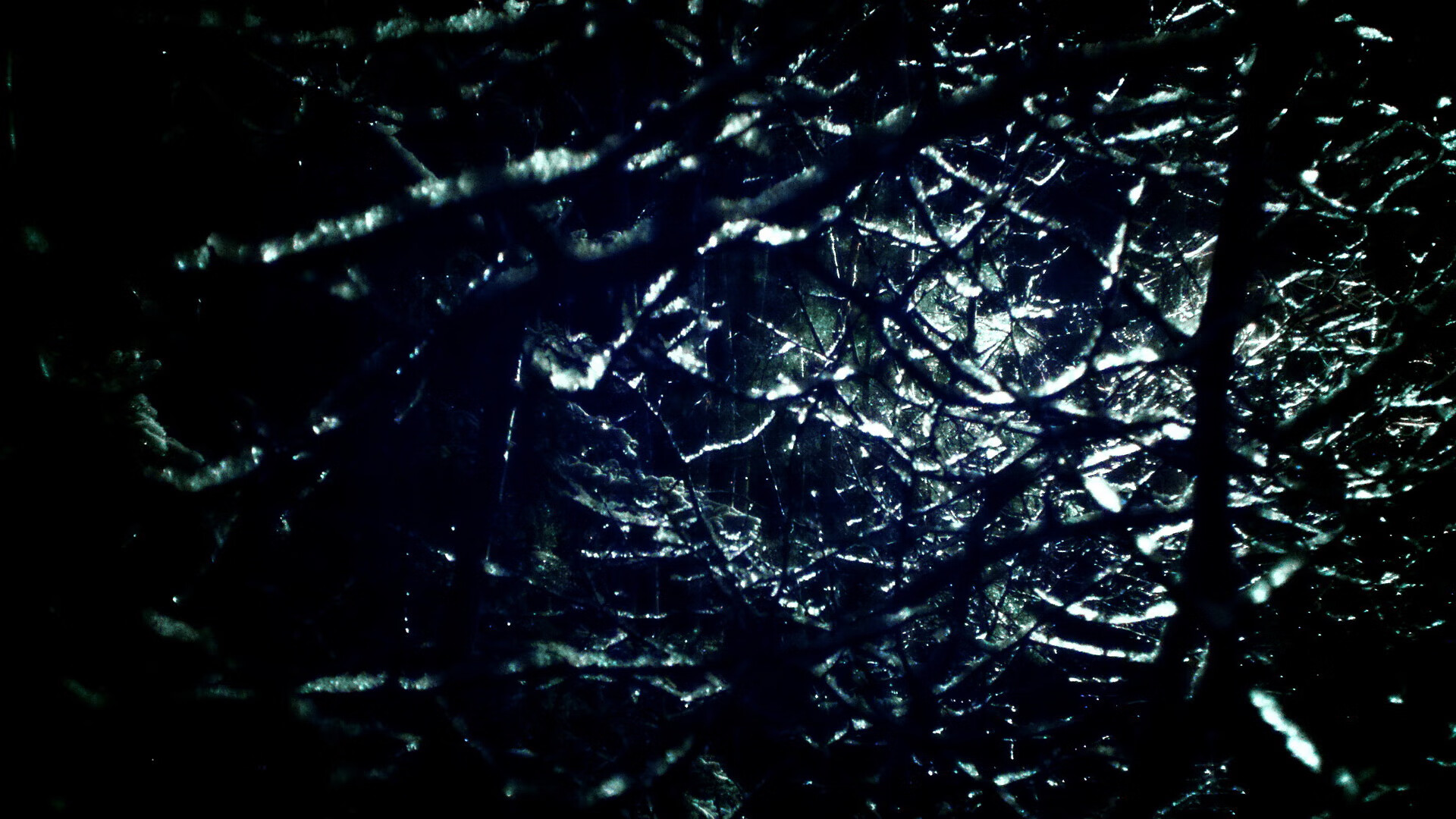 九游app下载中心-国家马术队打造国际化训练体系，备战奥运，国家马术指导 书