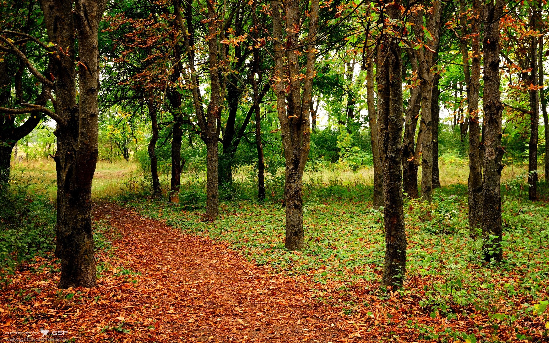 九游9游-男子篮球季后赛战况激烈，男篮季后赛直播