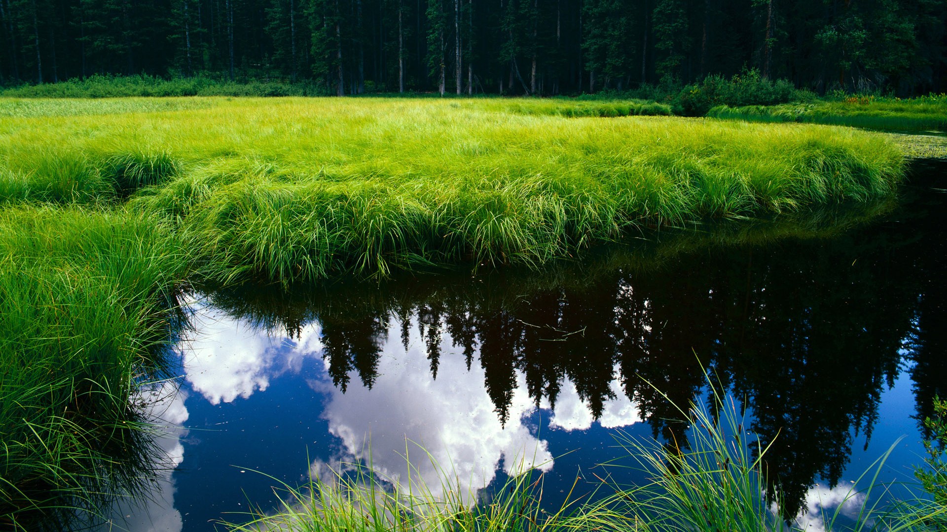 九游娱乐-篮球运动员体能监测技术普及应用，篮球运动员体能标准