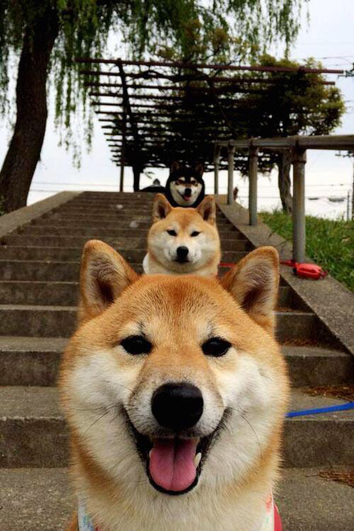 JIU YOU GAME-绿色环保场馆效果明显，行业持续践行可持续发展战略，绿色环保设施