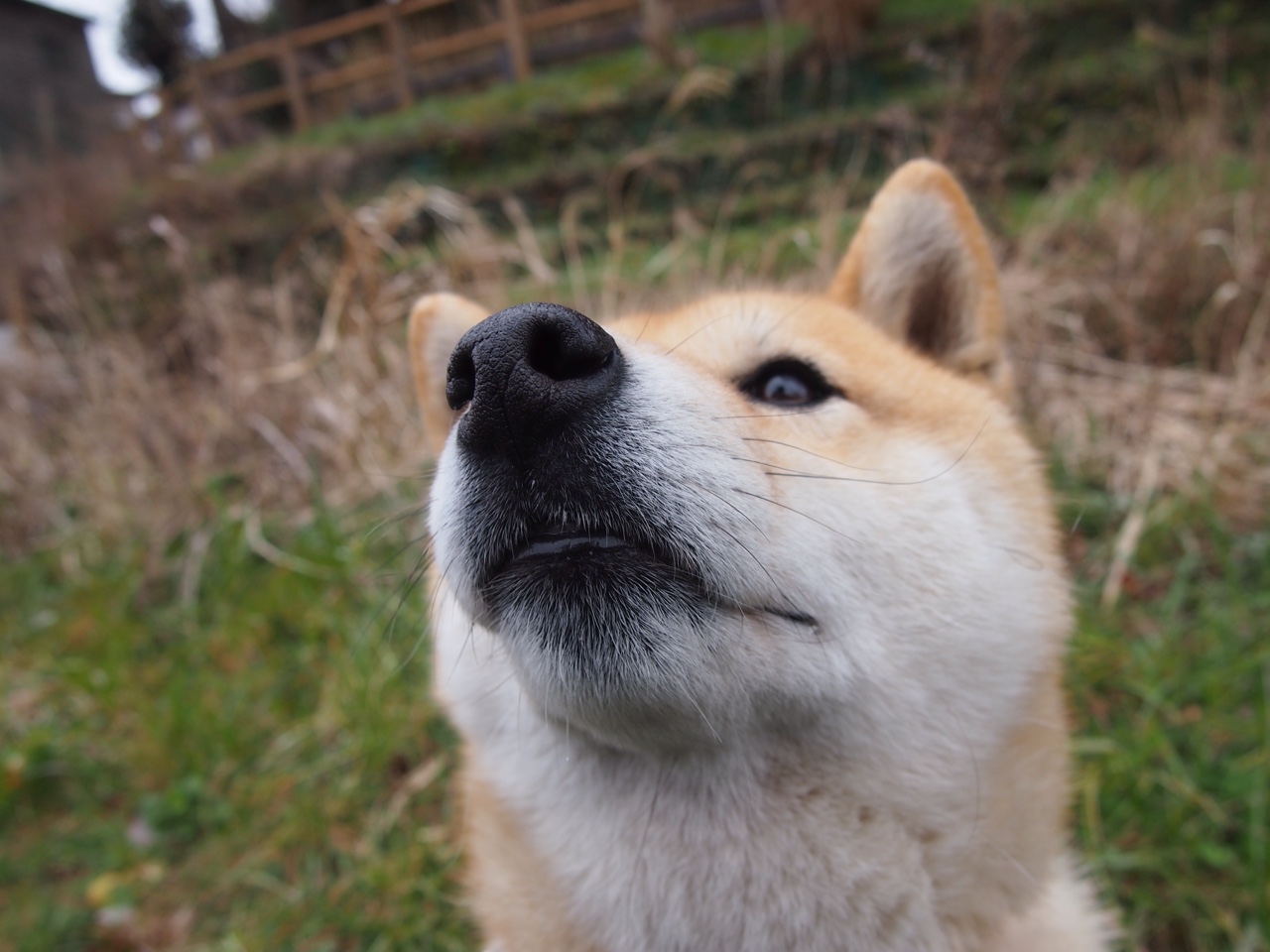 Jiu You-老年人健身课程开设，关注老年人健康，老年人健身指导