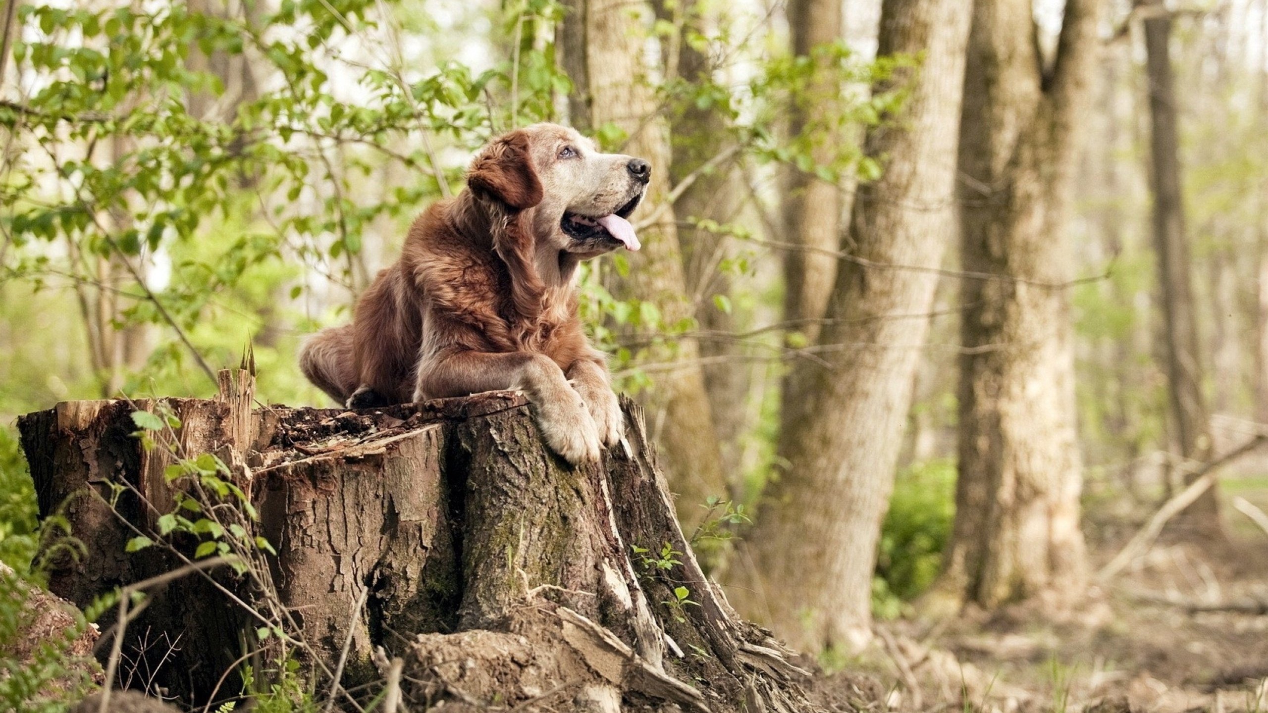 九游娱乐-英雄联盟“青春力量”高校线下赛火爆进行，英雄联盟高校大赛活动