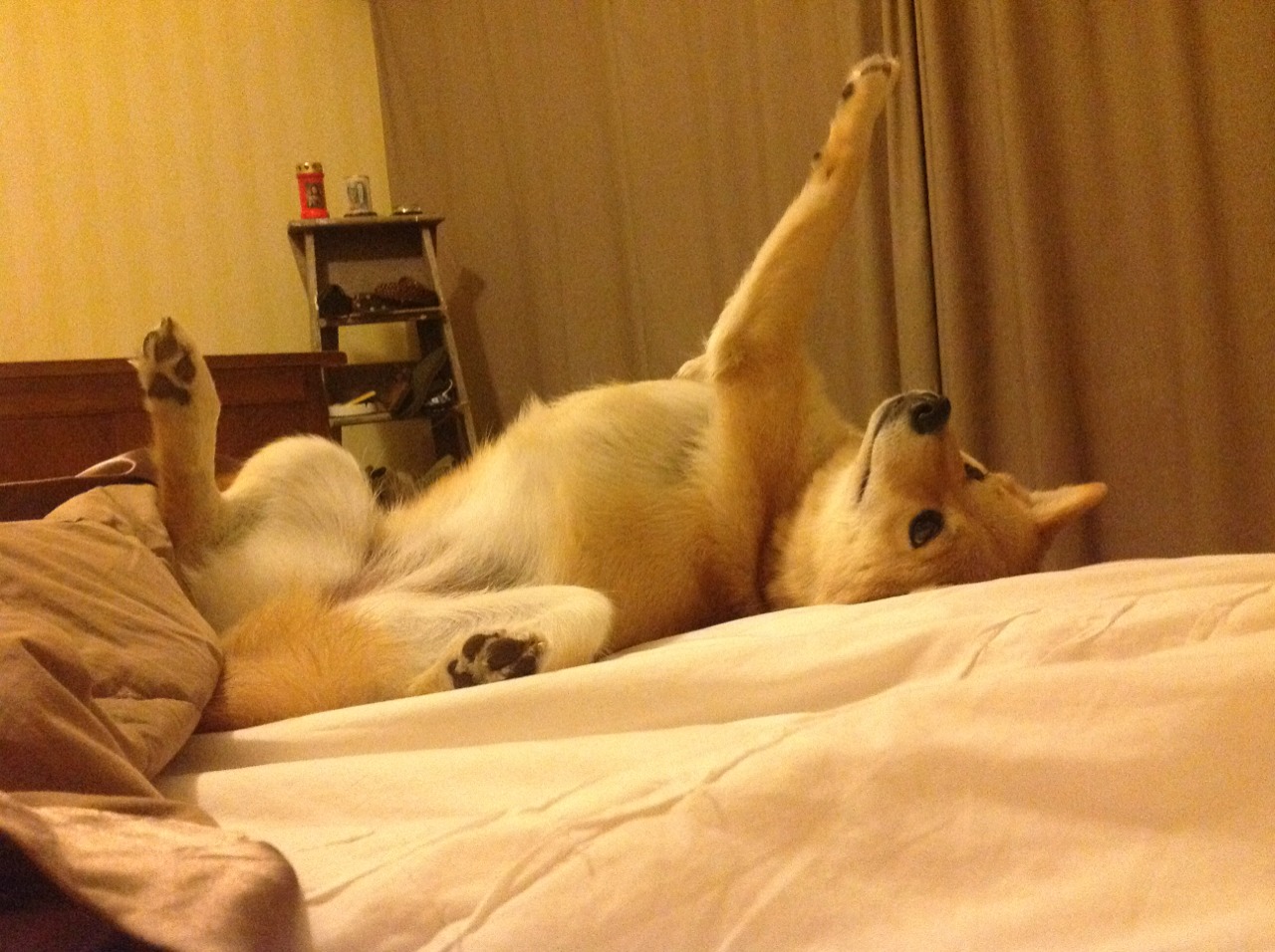 九游网页版入口-EDG季后赛席位稳固，edg下一场比赛