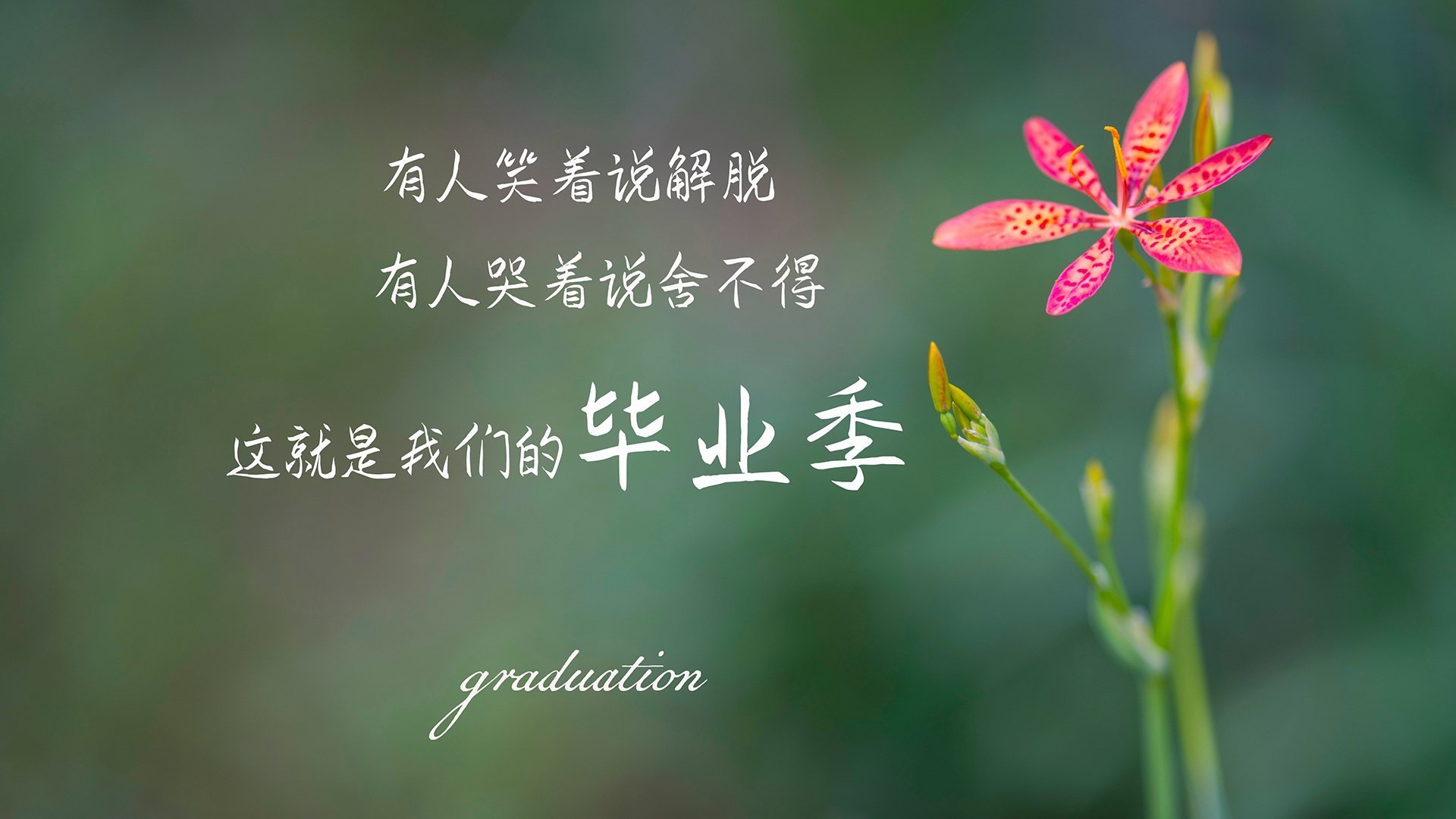 九游登录入口-伊朗马术协会举办“Chovgan”文化交流活动，促进传统文化传承。