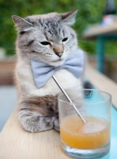 九游app官网下载-河床战术配合日趋成熟，河床式水电站示意图