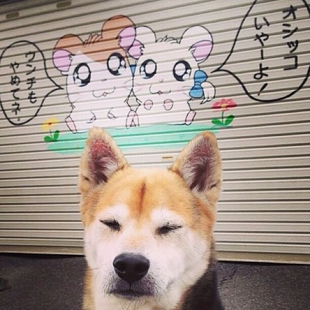 九游电脑版-法国足球联赛赛程安排，球迷翘首期盼，法国足球近期比赛比分