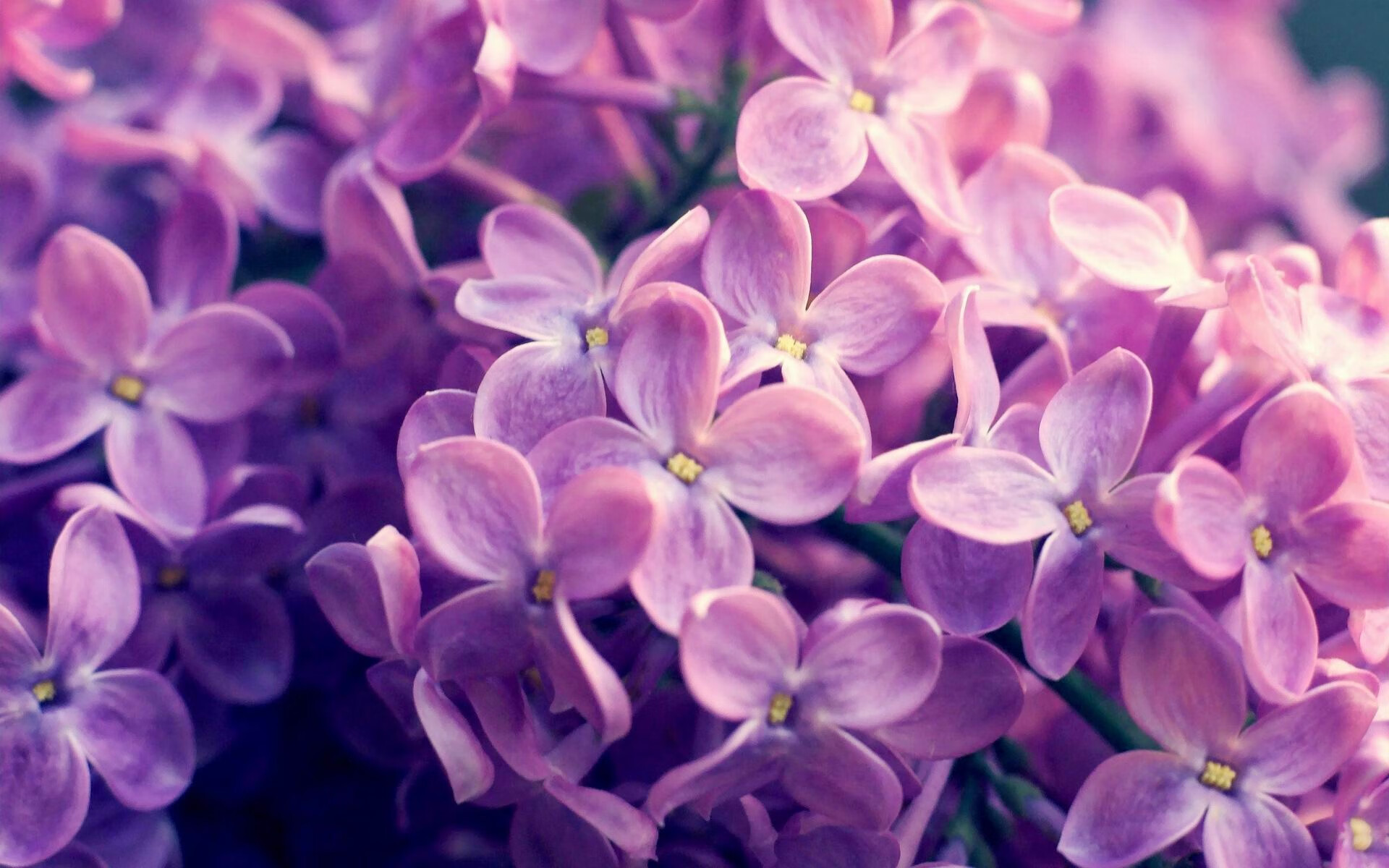 九游娱乐官网 (JIUYOU)-皇马功亏一篑，全队高层紧急开会商讨对策，皇马高层谈赢球