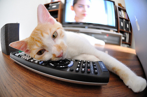 九游(jiuyou)官方网站-雷霆未来能否打造新王朝，雷霆未来首轮