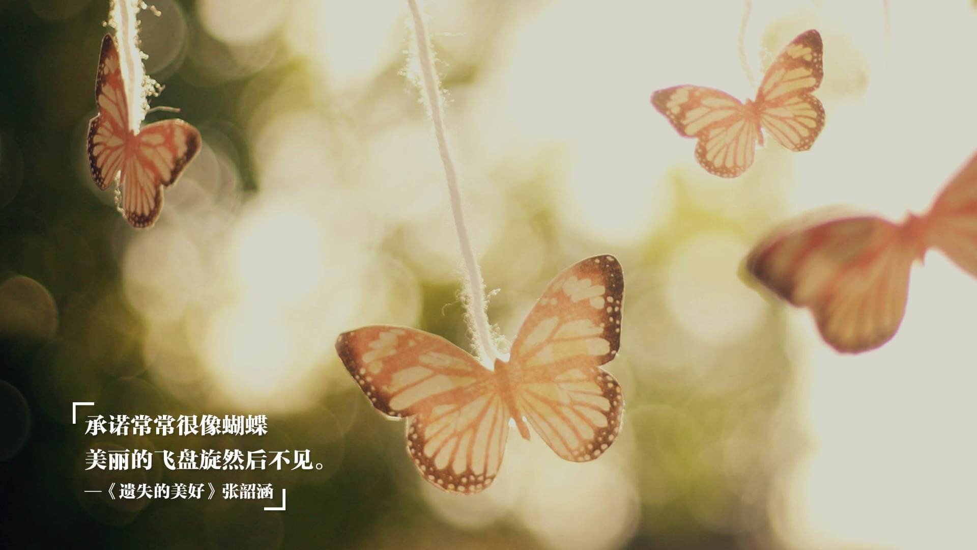 JIU YOU GAME-韩选手星际争霸战术创新引关注，韩国星际争霸职业选手排名