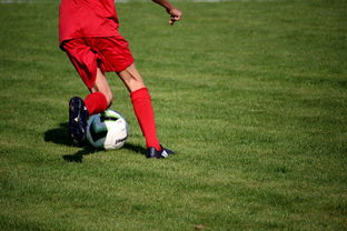 九游下载安装-中国篮球俱乐部青训体系绩效评估方法，篮球俱乐部青训营