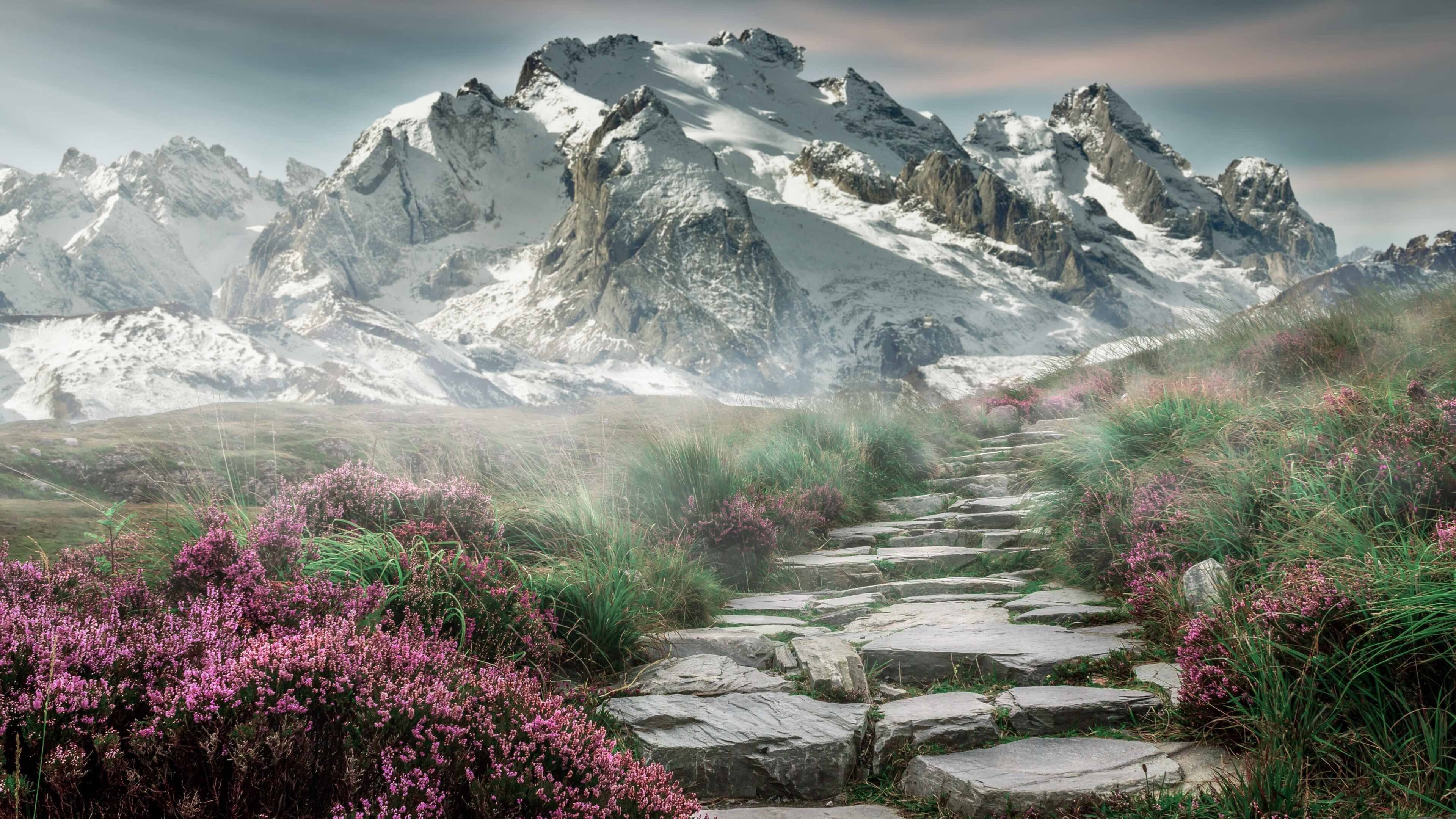 九游-中超球队进攻端数据对比，中超球员总进球射手榜排名