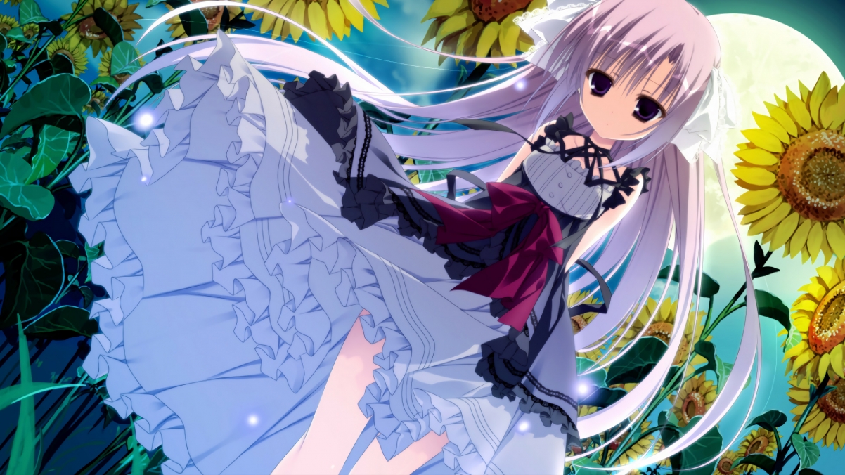 运动员健康数据管理系统上线试运行,运动员综合管理系统