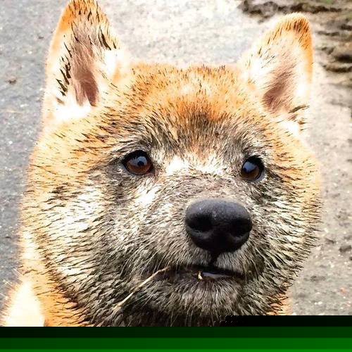 九游jiuyou-美洲杯豪门纷争：攻守转换的精彩瞬间