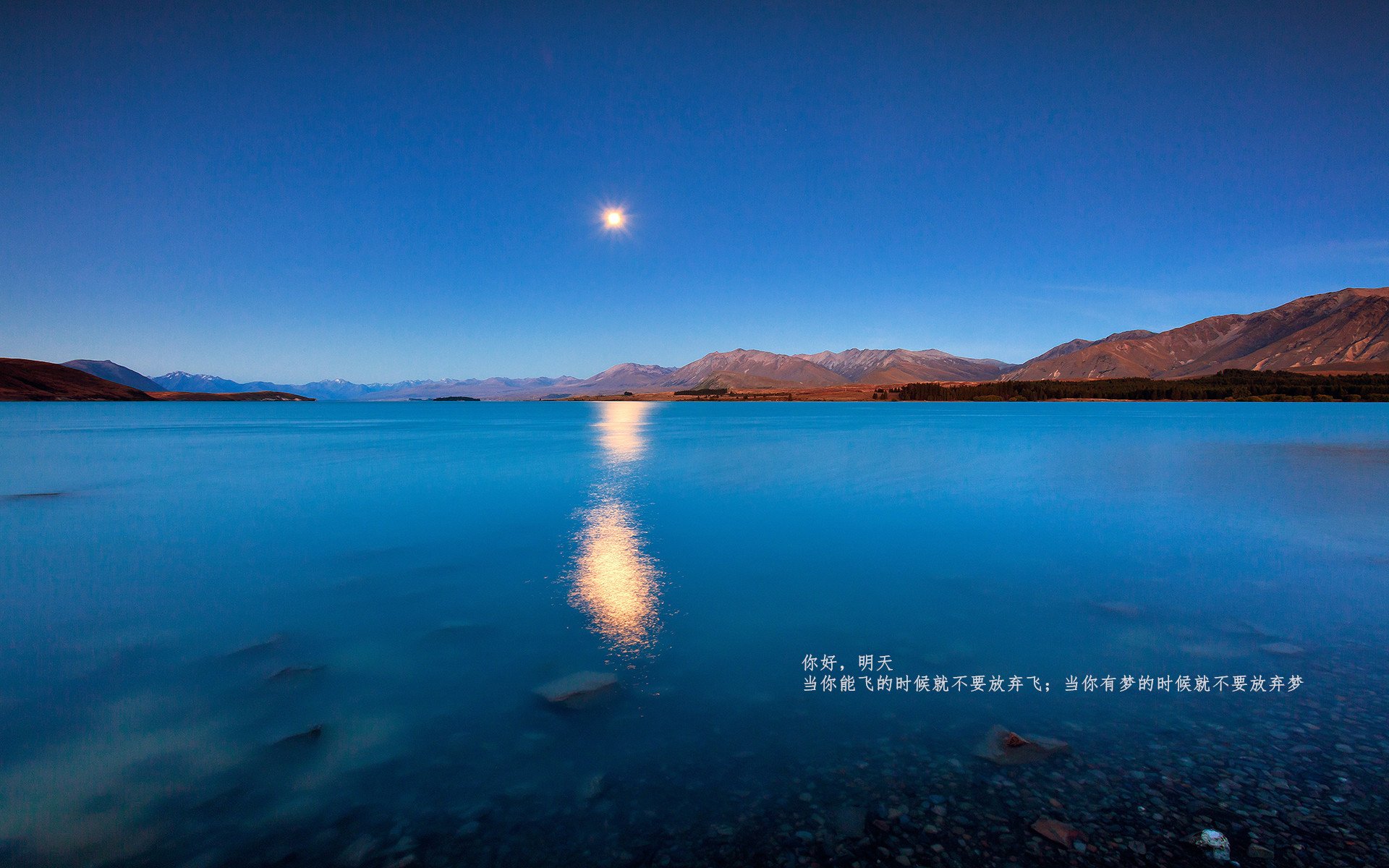 九游登录入口-黎巴嫩女篮在欧洲锦标赛中迎战强敌，争取奖牌梦想，黎巴嫩篮球比分实况